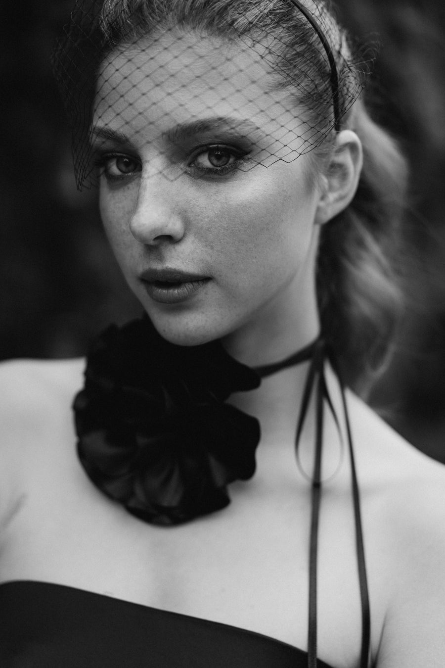 Lost in a Dream Birdcage Veil Headband